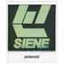 Cover art for "Siene — Polaroid"