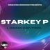 Cover art for "Starkey P — Losing Control (BWK Project Remix)"