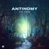 Cover art for "Antinomy — The Edge (Original mix)"