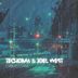 Cover art for "Joel West, Techoma — Cyberstorm"