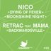 Cover art for "Nico — Moonshine Night"