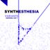 Cover art for "Synthesthesia — Variants (Fiberfav remix)"