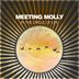 Cover art for "Meeting Molly — In The Circle Of Life (Extended Mix)"