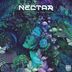 Cover art for "Nectar (FR) — The Hidden Truth (Original Mix)"