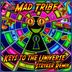 Cover art for "Mad Tribe — Keys to the Universe (Stryker Remix)"