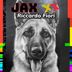 Cover art for "Riccardo Fiori — Jax Xx (Extended Mix)"