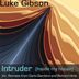 Cover art for "Luke Gibson — Intruder (Inside My House)"