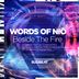 Cover art for "Words of Niō — Beside the Fire (Original Mix)"