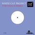 Cover art for "White Cat Project — Everything Is Possible (Original mix)"