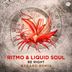 Cover art for "Liquid Soul, Ritmo — Be Right (Asgard Remix)"