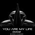 Cover art for "Dobie — You Are My Life"