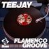 Cover art for Flamenco Groove
