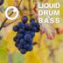 Cover art for Liquid Drum & Bass Sessions 2020 Vol 15