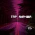 Cover art for Trip