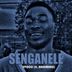 Cover art for "SiVOCO, Vorn Annunaki — Senganele feat. Bhunmaro"