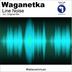 Cover art for "Waganetka — Line Noise"