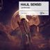 Cover art for "Halil Sensei — Gjermund"