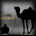 Cover art for "Hannes Bruniic — Camel"