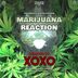 Cover art for "Talamasca, Ivan Castro — Marijuana Reaction (XOXO (FR) Remix)"