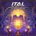 Cover art for "Ital, Brainlapse — Introspective (Original Mix)"