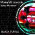 Cover art for "Montanelli Leonardo — Shake It (Original Mix)"