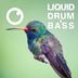 Cover art for Liquid Drum & Bass Sessions 2021 Vol 45