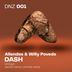 Cover art for "Francisco Allendes, Willy Poveda — Dash (Ummett Remix)"