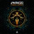 Cover art for "Syntheze — Tribal Dance (Original Mix)"