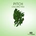 Cover art for "Pitch — Calling You (Radio Edit)"