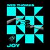 Cover art for "Wes Thomas — Joy (Original Mix)"