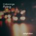 Cover art for "Caliorange — Flying (Original Mix)"