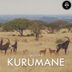 Cover art for Kurumane