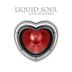 Cover art for "Liquid Soul — The Ritual (Original Mix)"