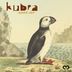 Cover art for "Kubra — Almost There"