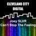 Cover art for "Joey SLVR — Can't Stop the Feeling"