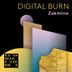Cover art for Digital Burn