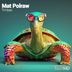 Cover art for "Mat Polraw — Timbao"