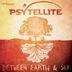 Cover art for "Psytellite — Human Fall (Original Mix)"