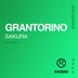 Cover art for "Grantorino — Sakura (Original Mix)"