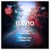 Cover art for "Gavio — Dirty Rain"