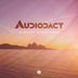 Cover art for "Audiodact — A Quiet Happiness (Original mix)"