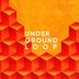 Cover art for "Underground Loop — Unexpected Development (Ibiza Son Dub Remix)"