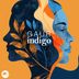 Cover art for "GAUR — Indigo"