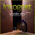 Cover art for "Incognet — Wonder Alley (Audible Remix)"