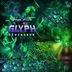 Cover art for "Glyph (SA) — Divinorum"