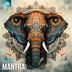 Cover art for Mantra