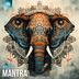 Cover art for "WilSun — Mantra"