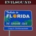 Cover art for "EvilSound — Tribute To Florida"