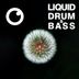 Cover art for Liquid Drum & Bass Sessions #51