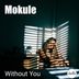 Cover art for "Mokule — Without You"